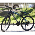 Bicycle WOUG 26" 49375