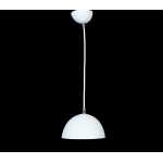 The ceiling light is 5045 white 12235