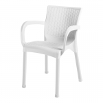 პლასტმასის სკამი CT014 თეთრი 28305