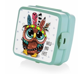 Lunchbox "Owl" 48030