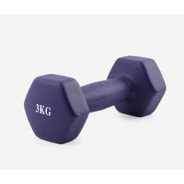 Dumbbell 3.0 kg (1 piece) purple 46658