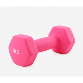 Dumbbell 3.0 kg (1 piece) pink 46657