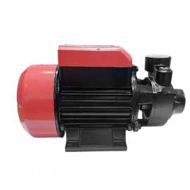 Water pump EDON QB-60 49609