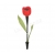 Yard decorative light on solar energy - Rose red size 6X6X48 cm 61/148 28930
